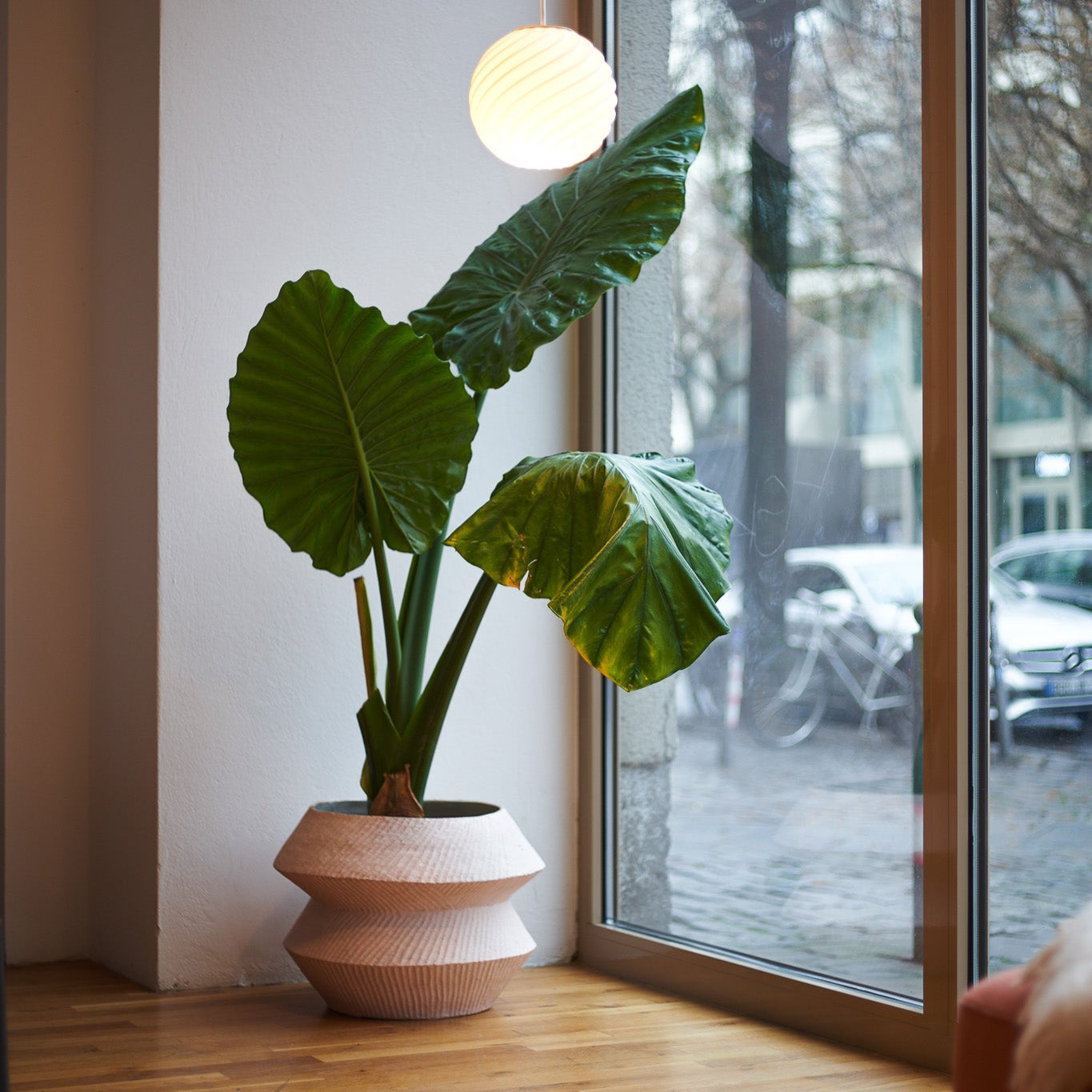 IZAR Atelier von Ehren