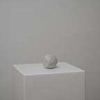 Erratics - Posture X