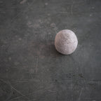 Erratics - Posture X