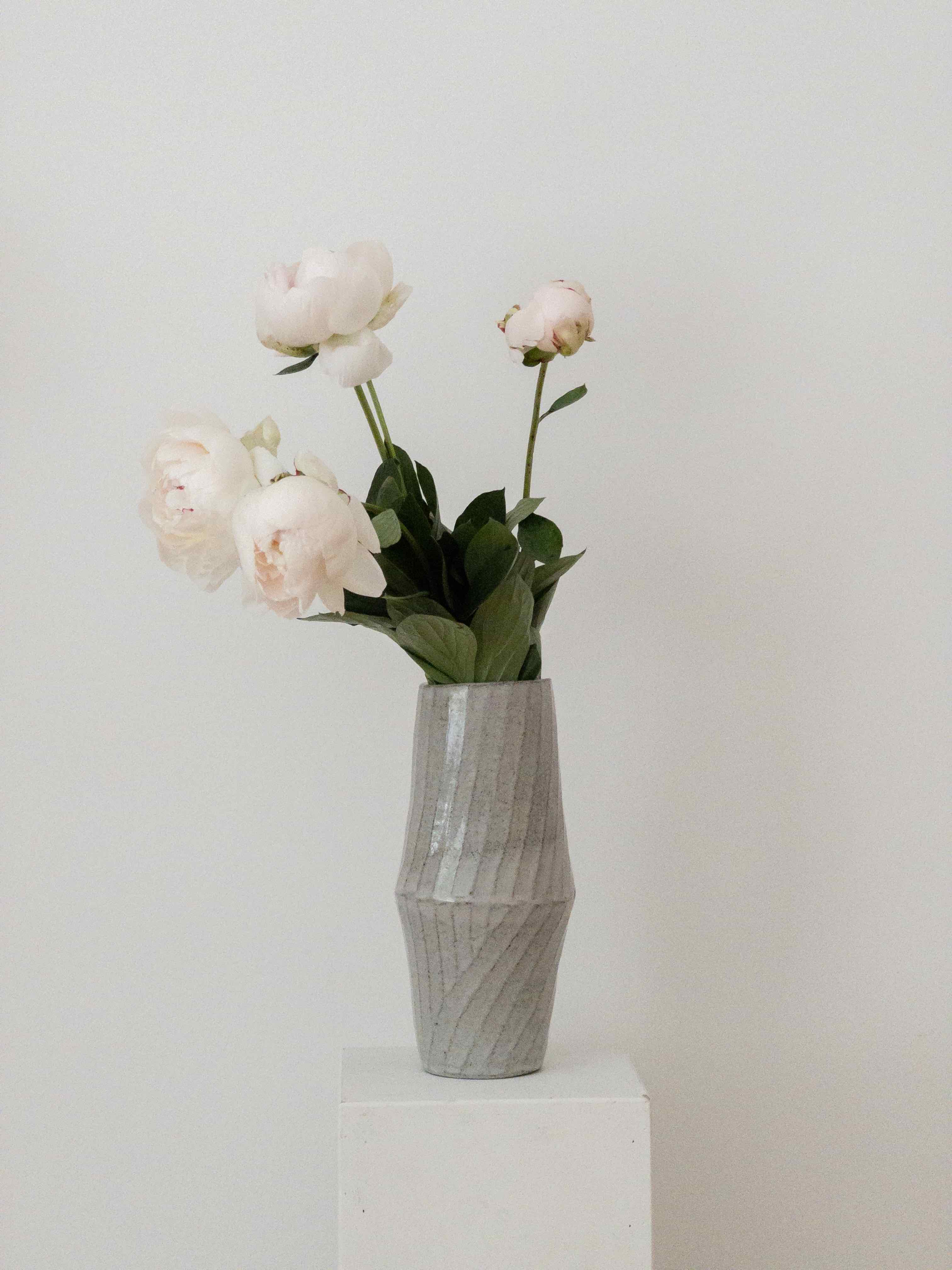 Edges of Summer Atelier von Ehren