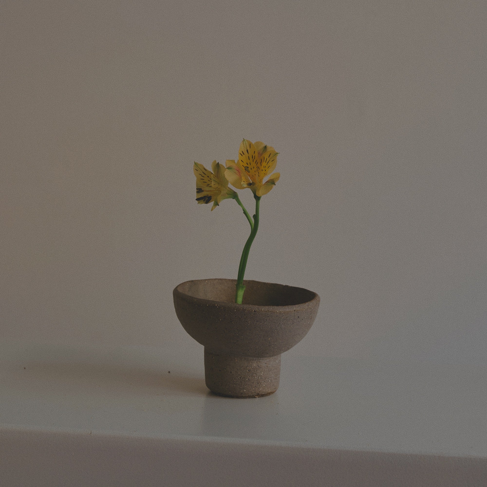 IKEBANA & CERAMIC workshop