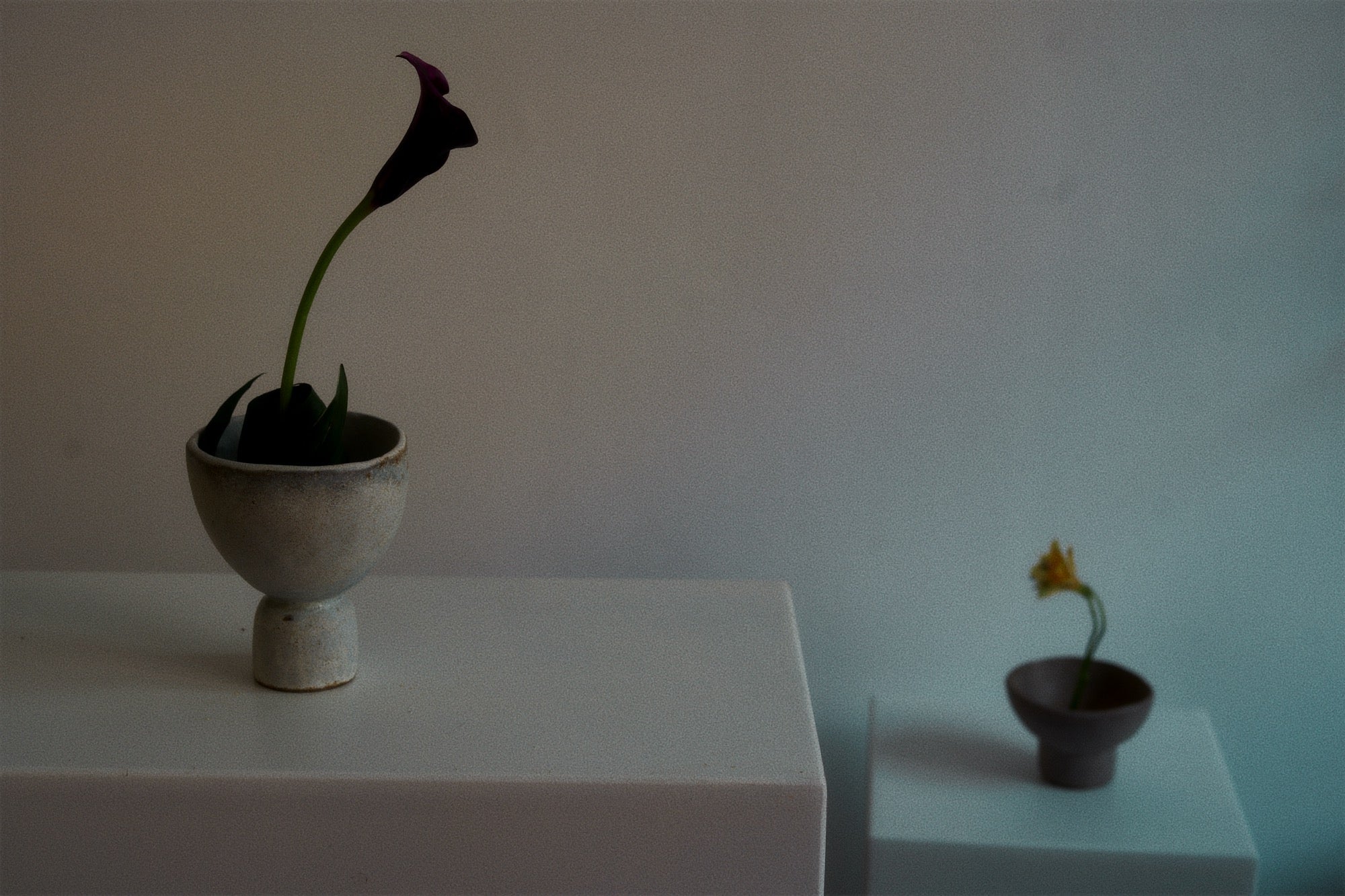 IKEBANA & CERAMIC workshop