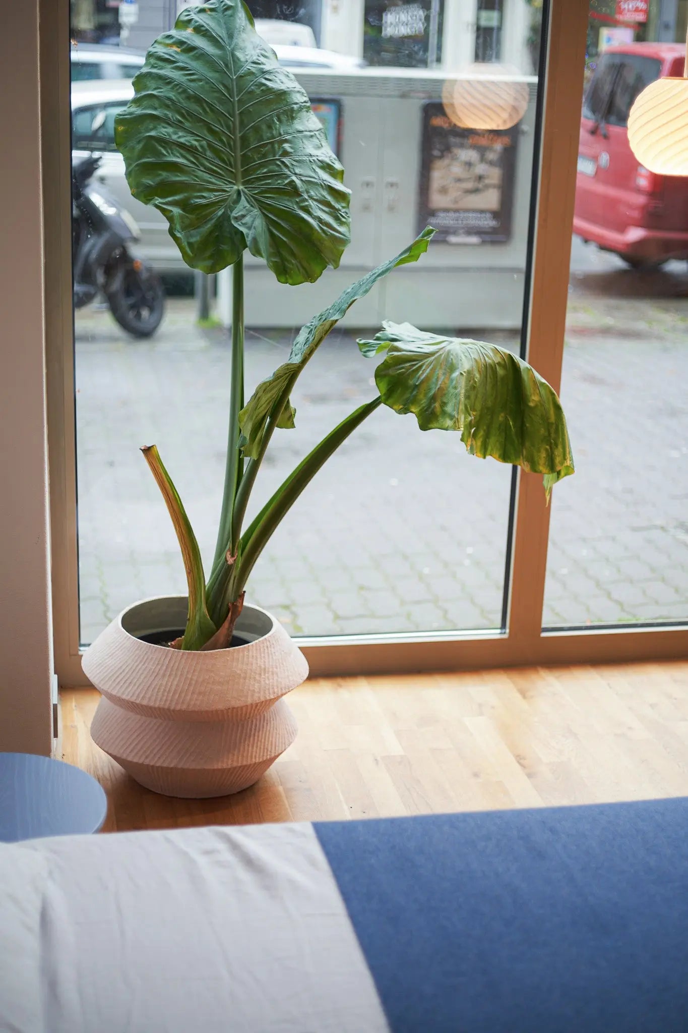 IZAR Atelier von Ehren