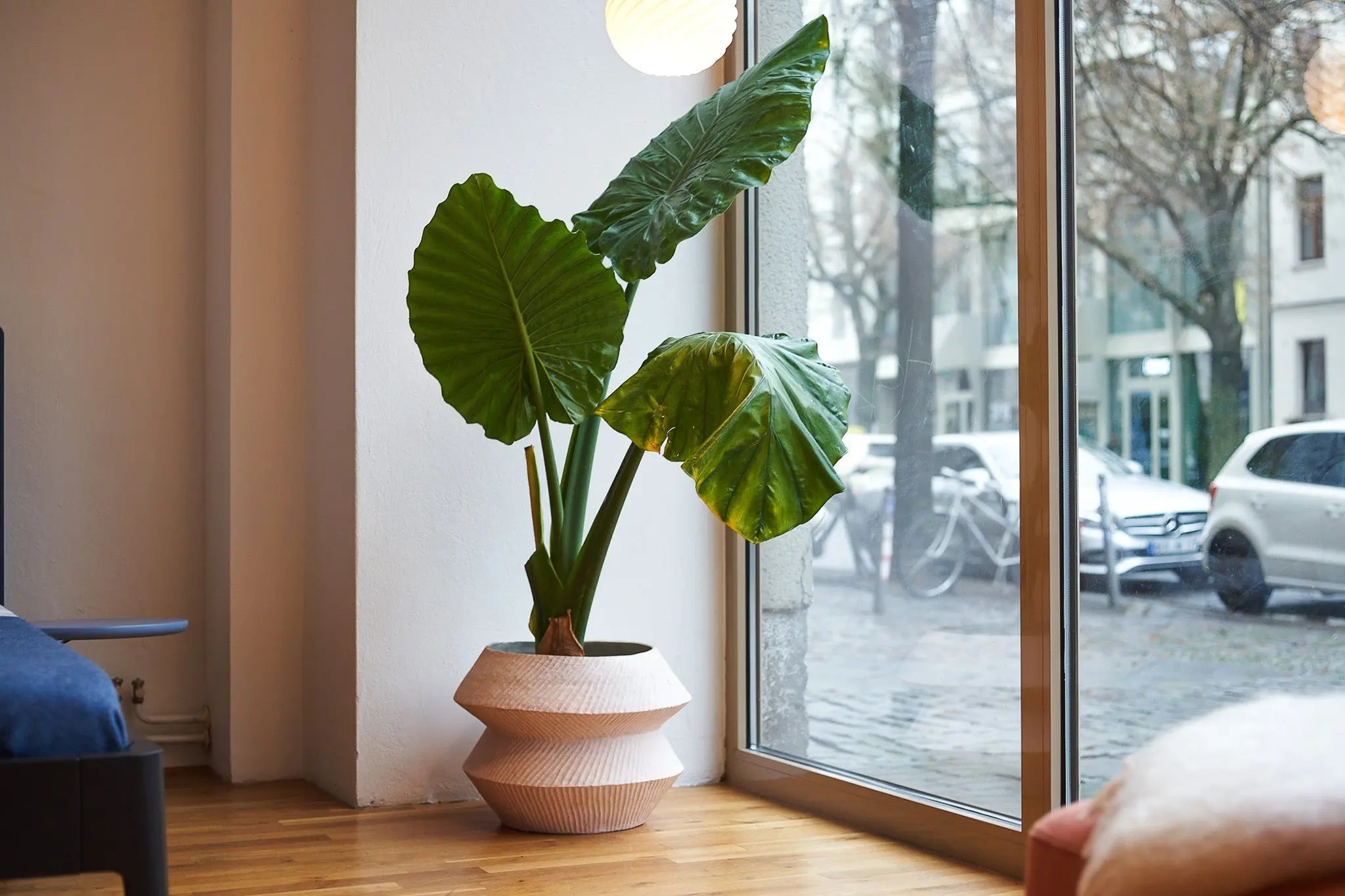 IZAR Atelier von Ehren