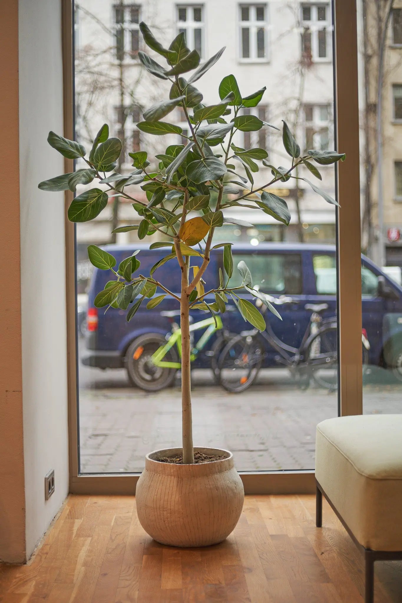 MIKA I Atelier von Ehren