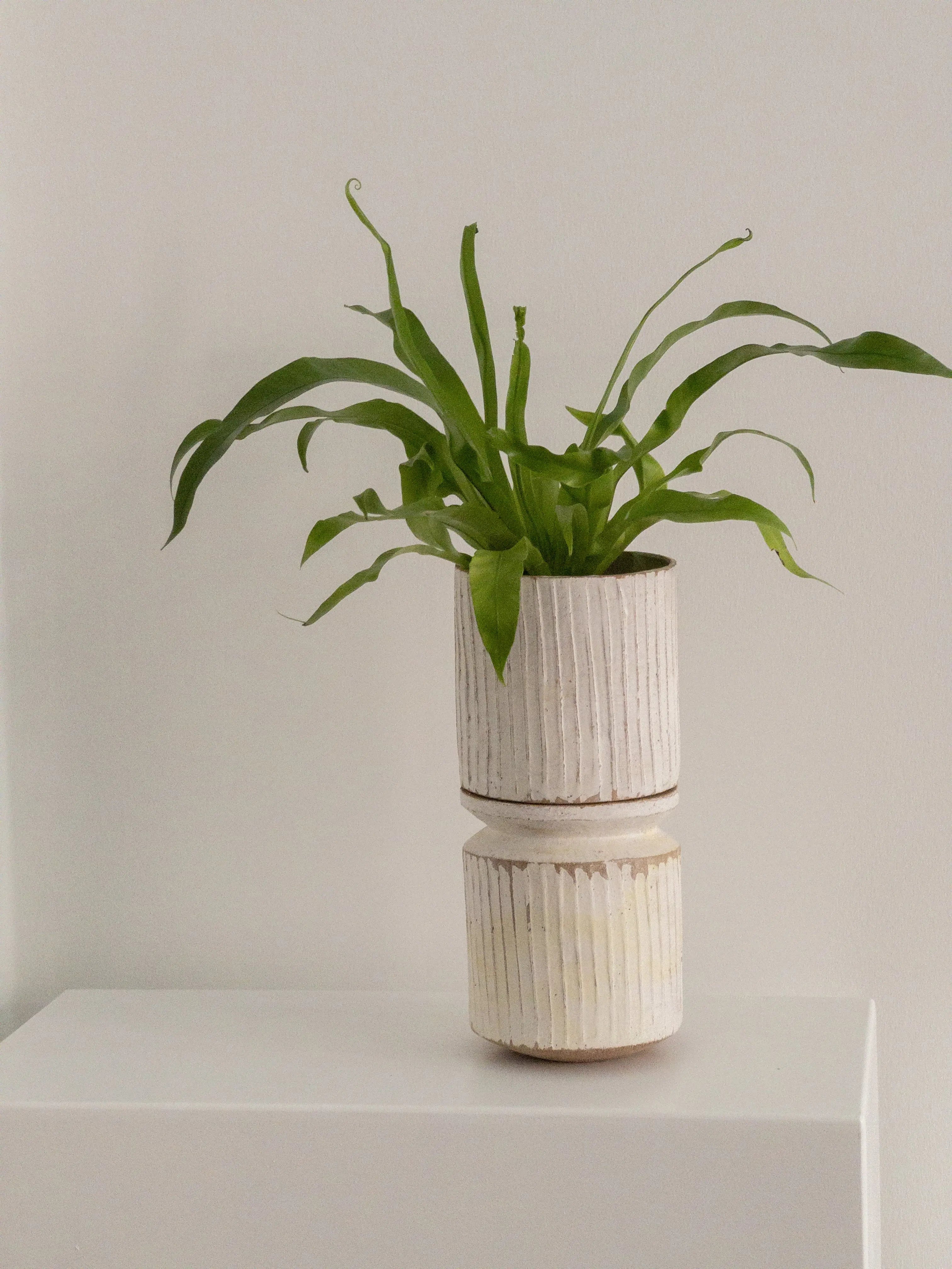 NURI (weiß) - selbstbewässernd Atelier von Ehren