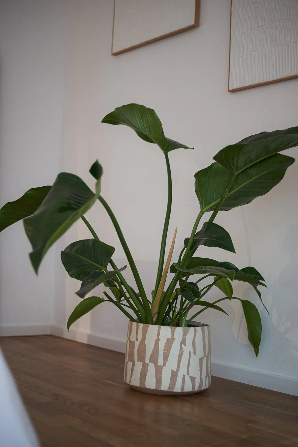 SOREN Atelier von Ehren