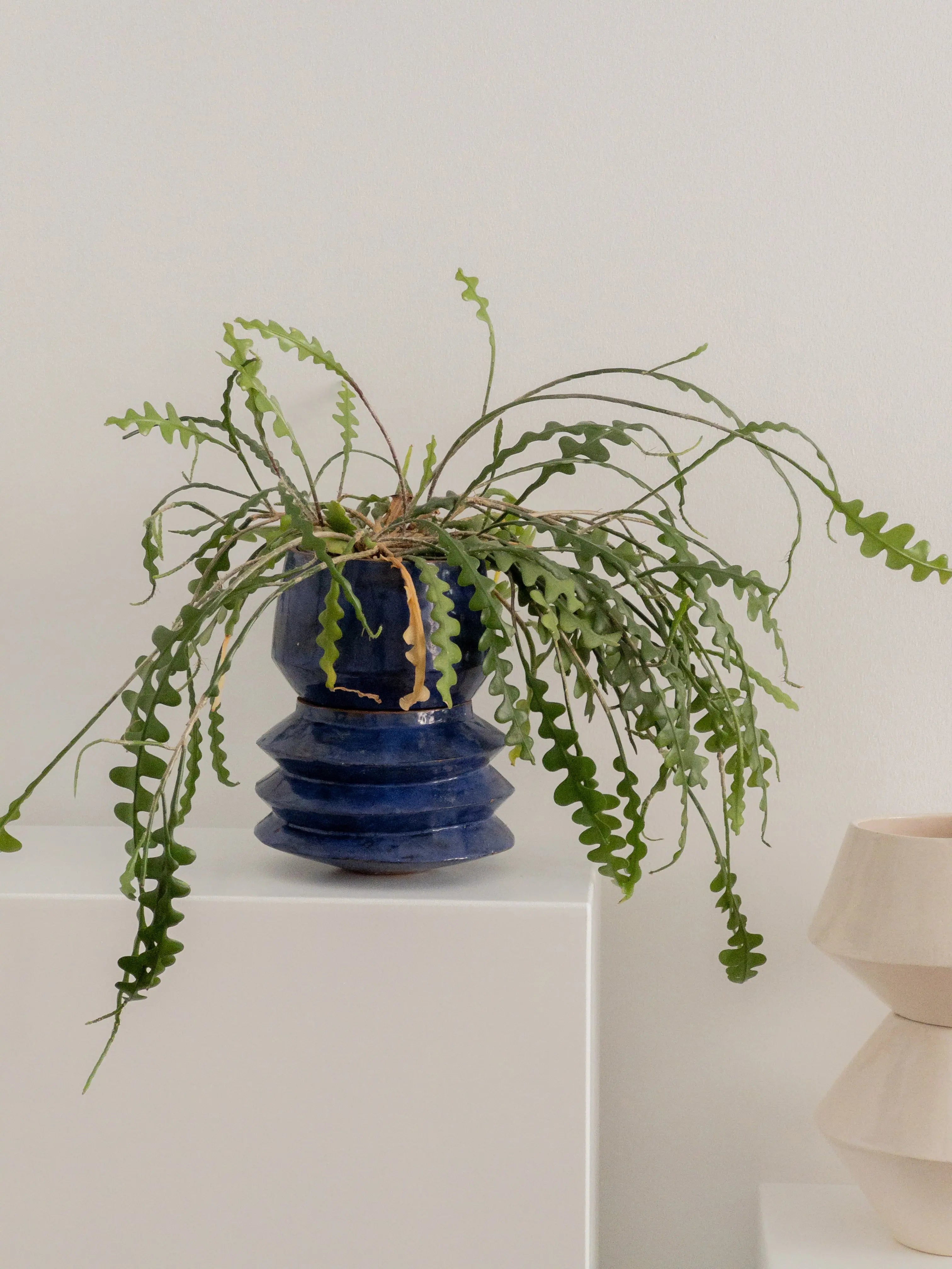 YARA (blau) Atelier von Ehren